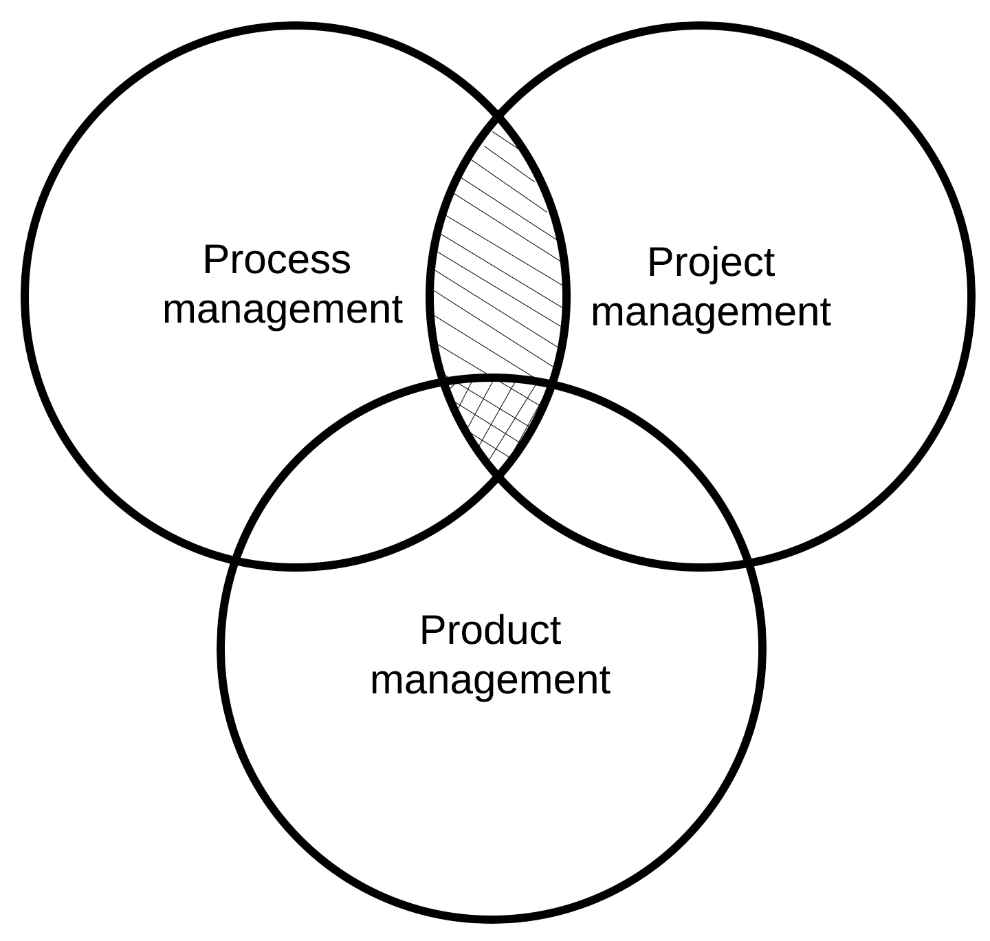 Venn diagram of overlap of process, project, and product management.